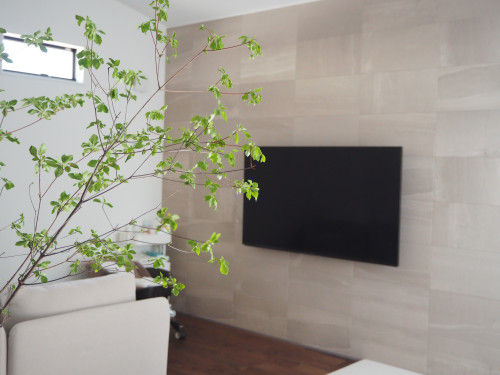 230514131652-646060b452120_l