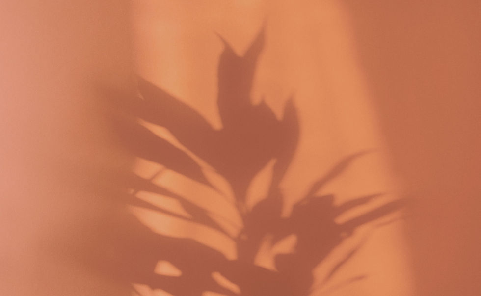 Orange Shadow_edited.jpg
