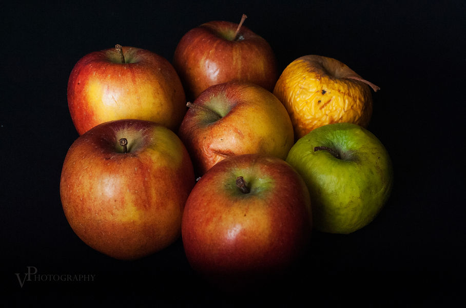 Vasiliki Pagkali Apple photography 