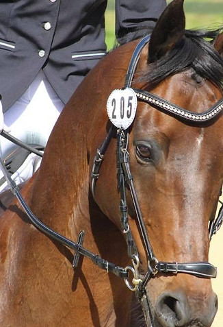 75419022_10158920240384338_6626254464569