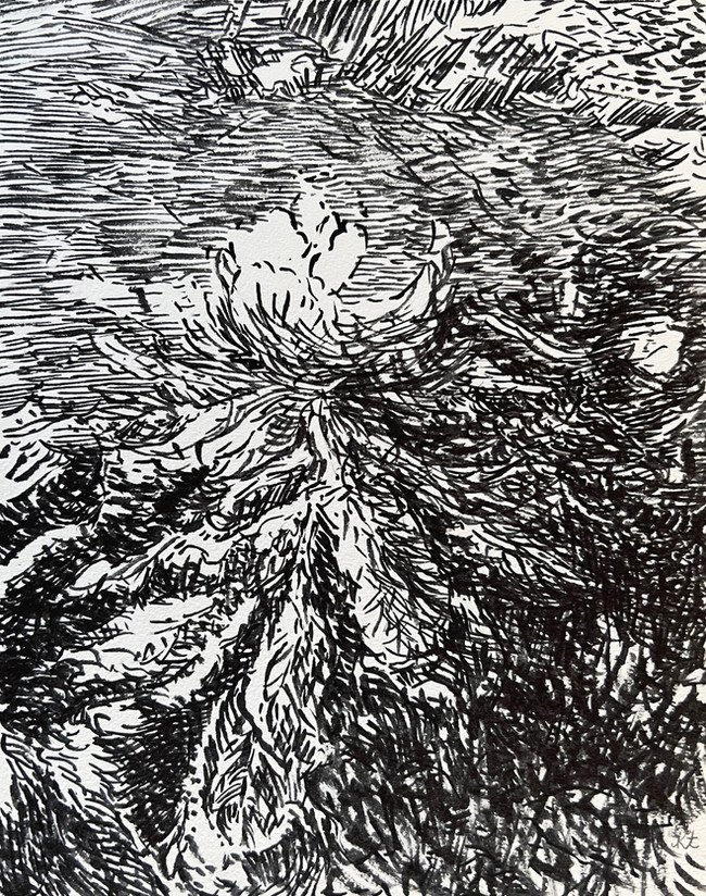 Draw24.jpeg