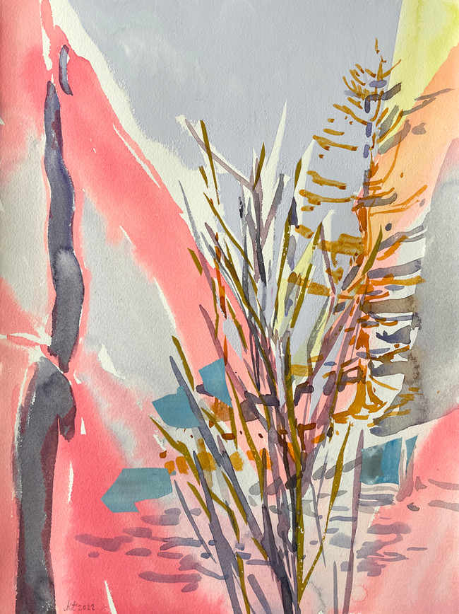 Saplings.jpeg