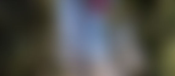 OHA - was passiert da?