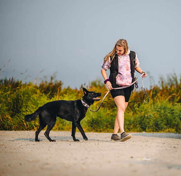 dog training abbotsford
