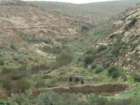 נחשפו סודות כלכלת היין המשגשגת של הנגב בתקופה הביזנטית