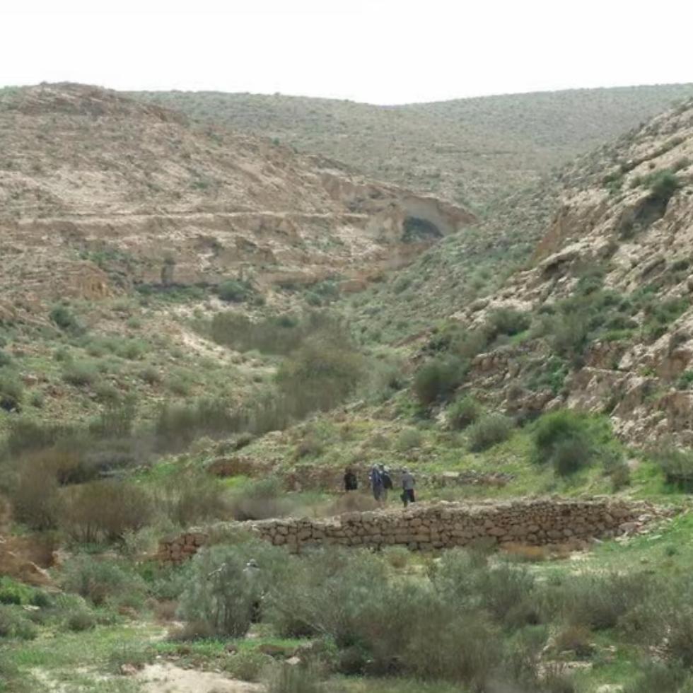 נחשפו סודות כלכלת היין המשגשגת של הנגב בתקופה הביזנטית