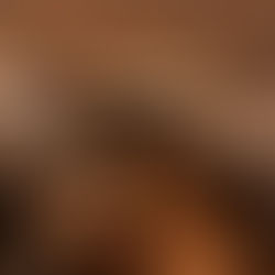 Amice Amsterdam opent zijn deuren