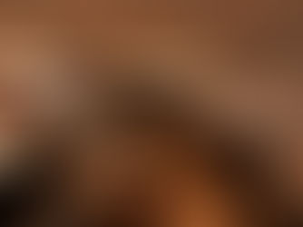 Amice Amsterdam opent zijn deuren