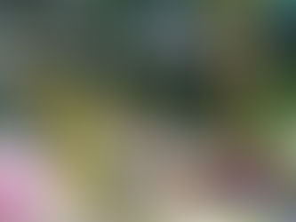 Hidden hotspot: boutique hotel WSHS in Gouda