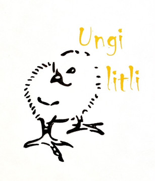 image0 (1).jpeg