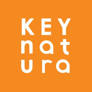 key (1).jpg
