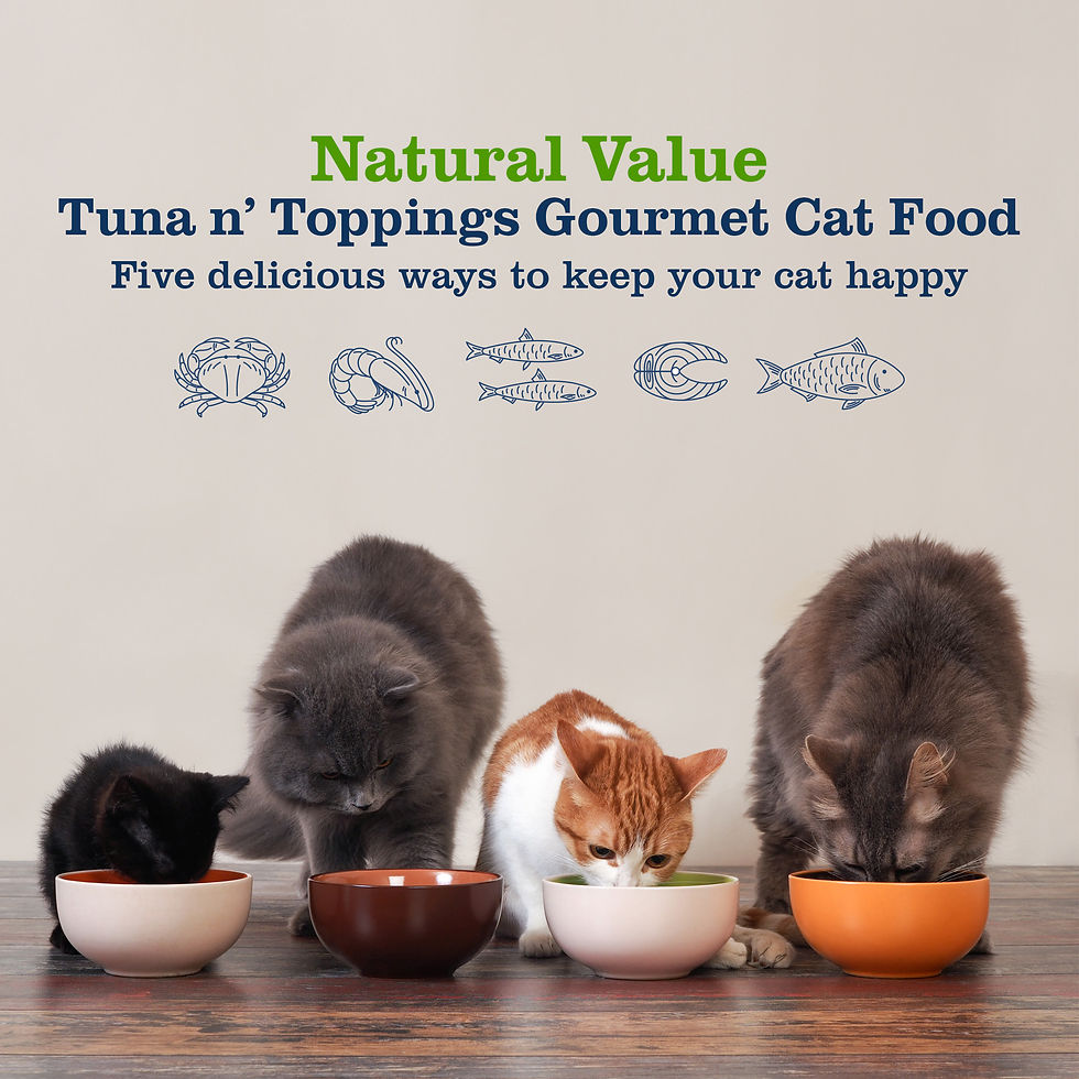 Thumbnail: Tuna n' Mackerel Grain-Free Cat Food 5.5oz 24pk
