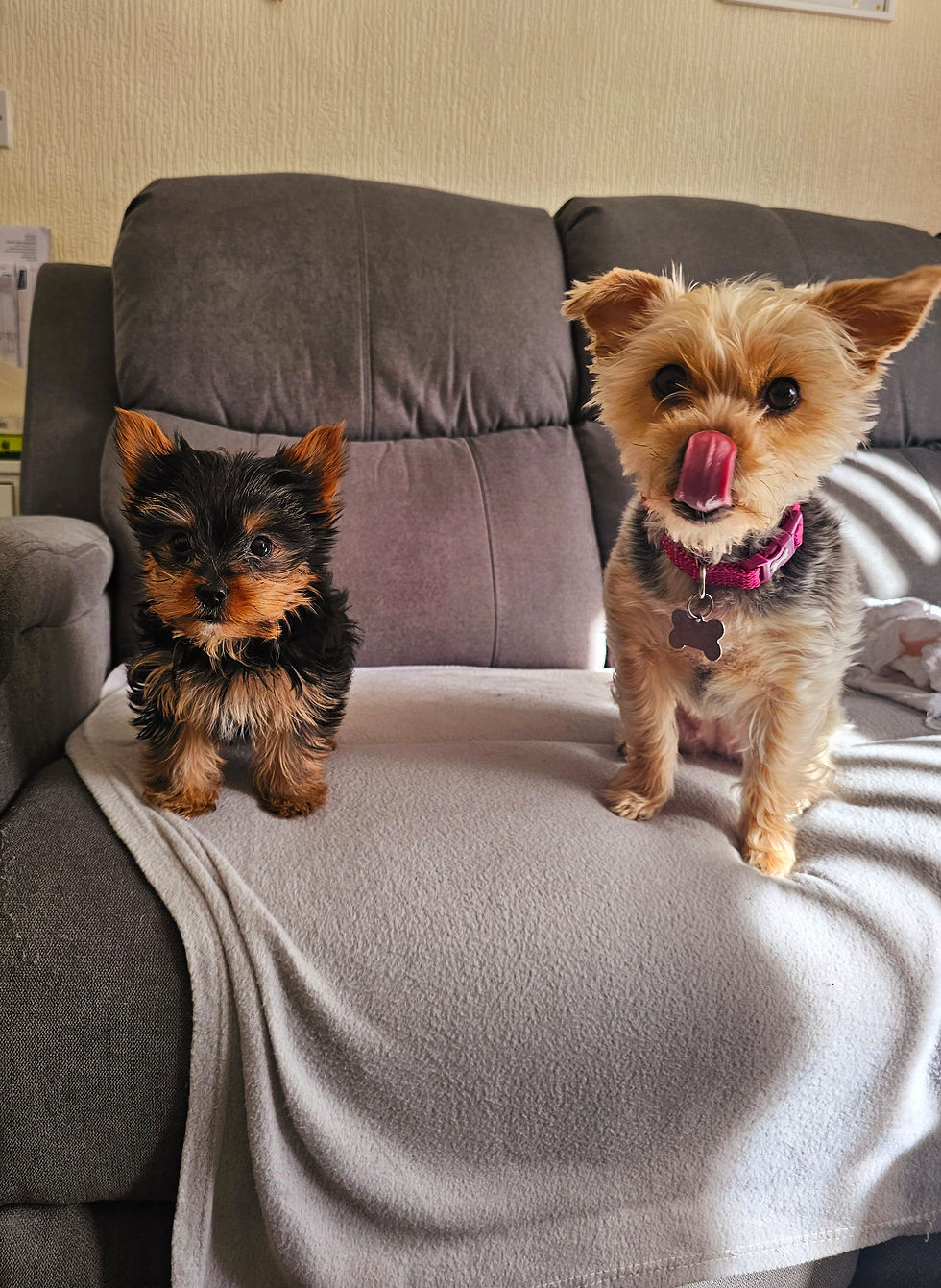 Double Trouble