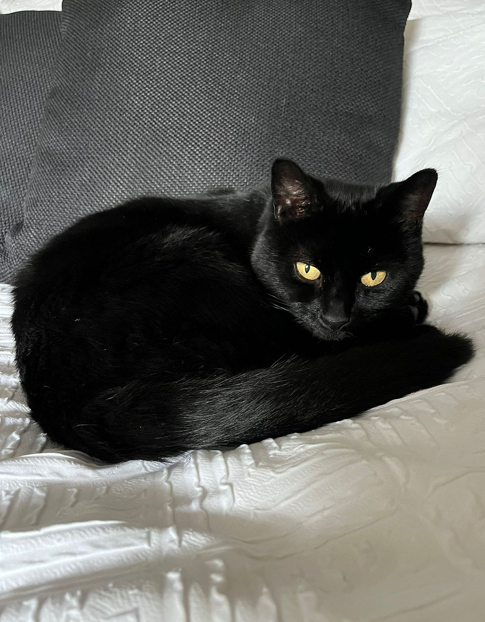 Handsome fella