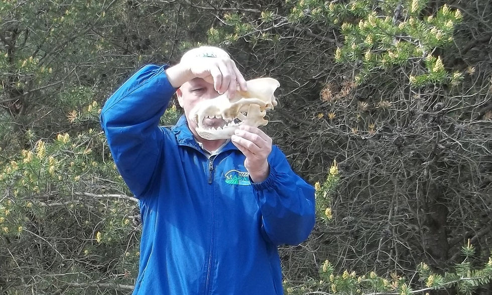 100_3972 (2014_07_21 16_24_37 UTC)_edite