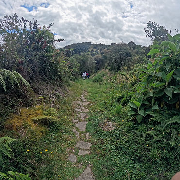 ESCALAR RAPEL MONTAÑA CAMINATA