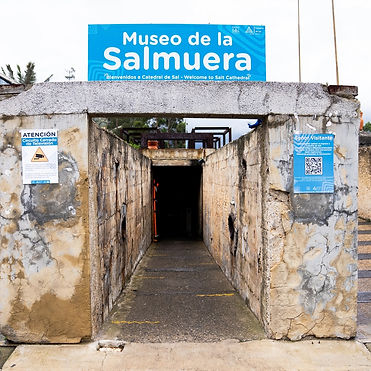 Conoce la historia de la sal, su importancia en el desarrollo de nuestro país y como empezó el proceso de explotación de este mineral en Zipaquirá. El museo de la salmuera es la mejor manera de comenzar tu visita a Catedral de Sal.
