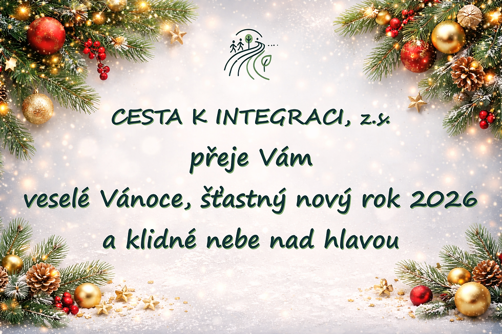 Амнистия 2025 от PMDP