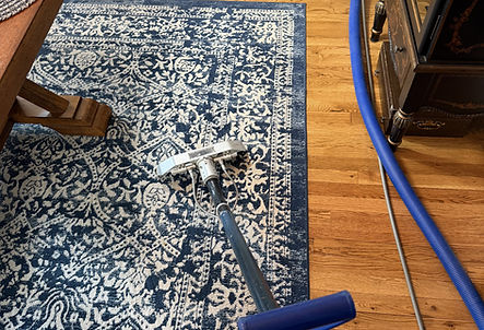 Everfine Carpet Cleaning cleaning an area rug in Garden City