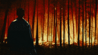 DB feat. EBOW - Zu Weit