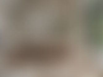 Tendencias de diseño de interiores para este verano y cómo aplicarlas de forma sencilla y efectiva en tu hogar.