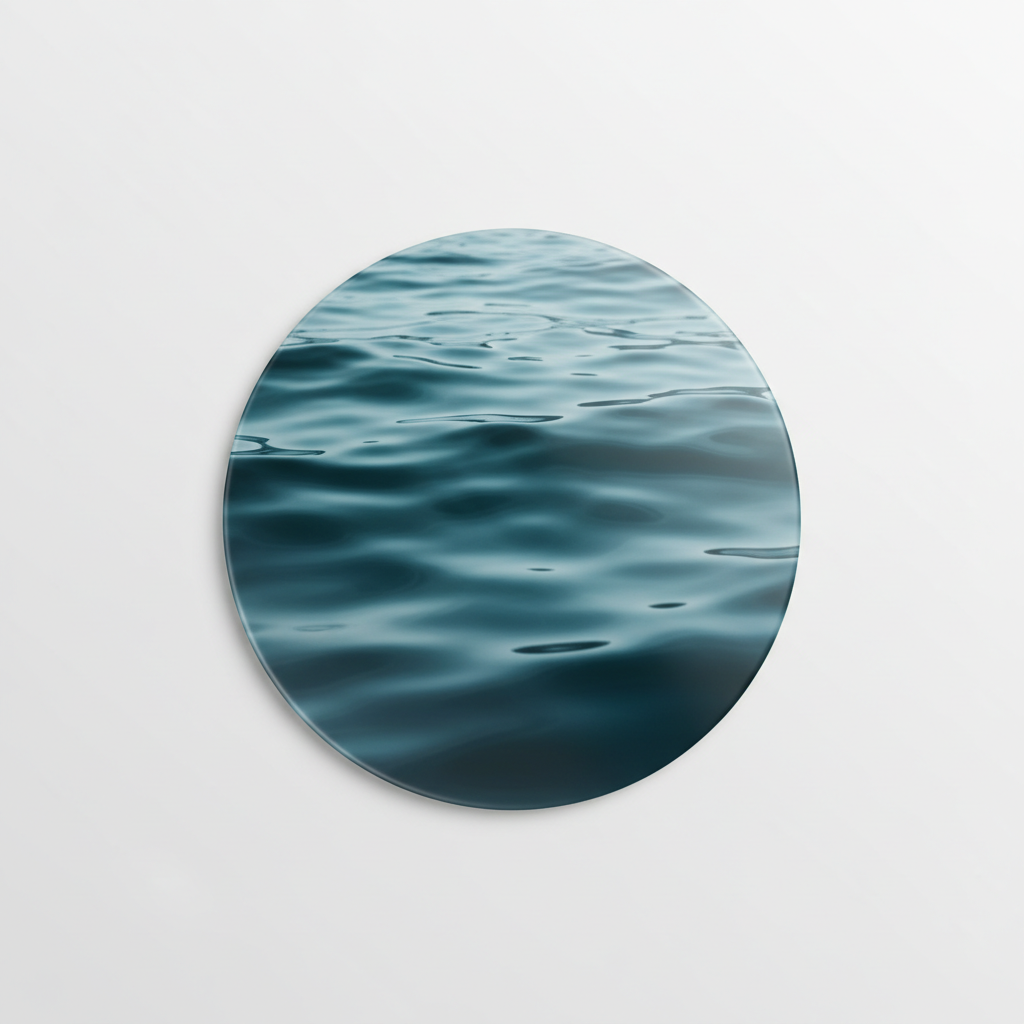 Fleeting Joy Track
