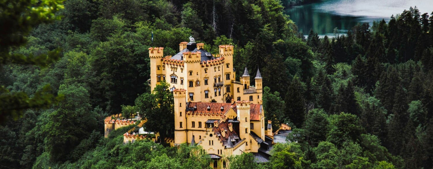 Аерозйомка жовтого замку Хоеншвангау посеред густого зеленого лісу біля гірського озера.