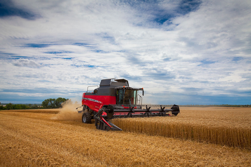комбайн Massey Ferguson MF7370 BETA в полі