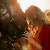 Horse and rider portrait photography near Adelaide