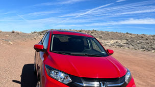 Week 16: Harvey Clifford