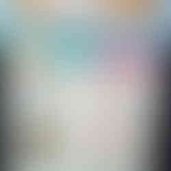 The Blathers page for the Moon Jellyfish