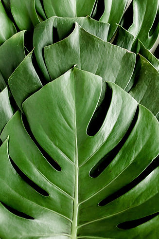 AdobeStock_405826353.jpeg