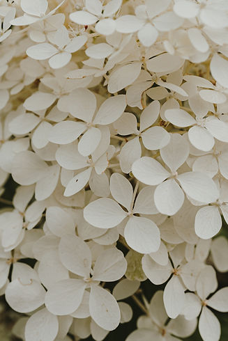 AdobeStock_602663728.jpeg
