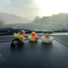 Road Trip