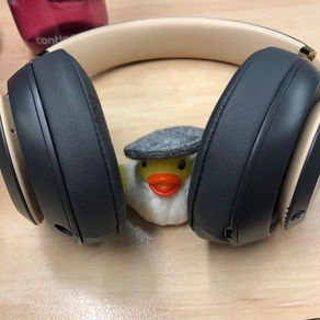 Headphones