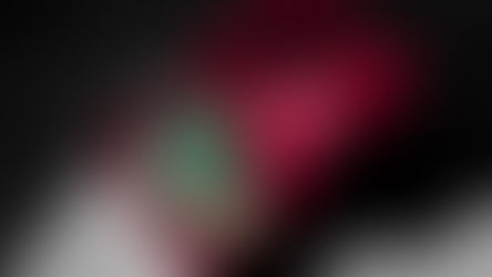 PING PÃO: um pouco de ousadia para o redesign da marca