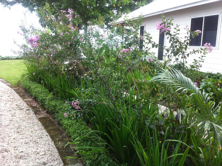 Residential Compound - Subtropical Paradise