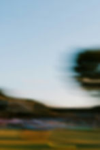 image14.jpeg
