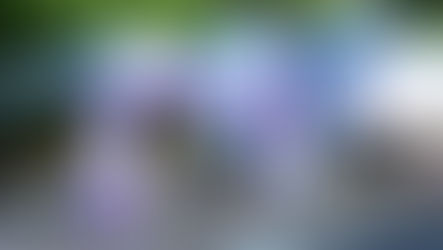 ‘Sabadão Lilás’ mobiliza mulheres para prevenção e diagnóstico precoce do câncer do colo do útero