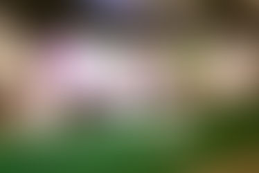 Prefeito David Almeida abre o maior encontro de planejamento urbano do Brasil e defende soluções integradas para os desafios das cidades