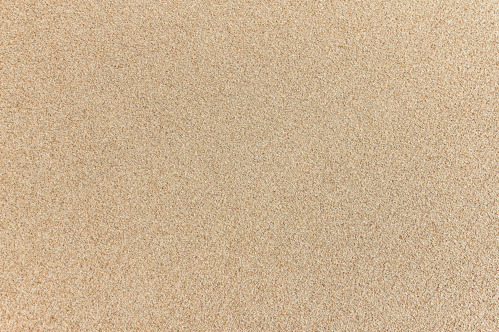 1221.jpg