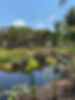 lago natural.jpeg