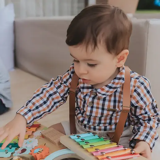 brinquedos interativos