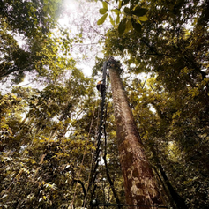 Thrills & Trails in Malaysia: Extreme Sports that Get Your Heart Racing