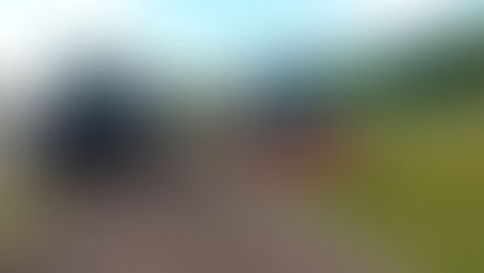 Na een voorspoedig groeiseizoen is de rooitijd weer begonnen: