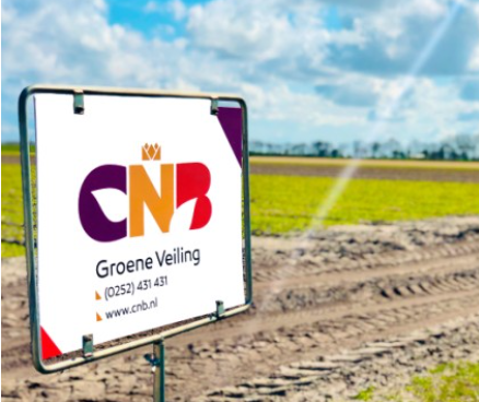 We gaan onze tulpenkraam groen veilen.