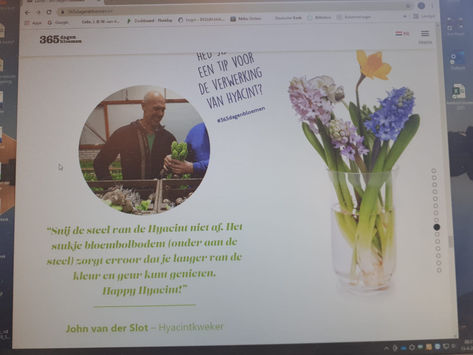 365 dagen bloemen