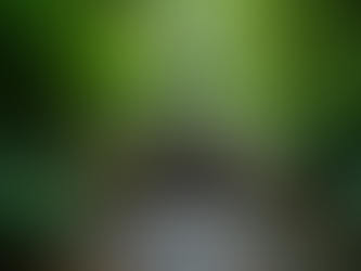 Discover Iconic Nassau Landmarks in Eco-Friendly Style