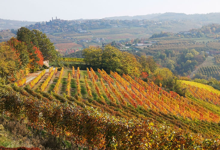 IMG_20211028_135019 (1)_edited.jpg