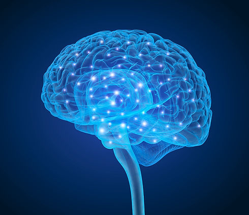 iStock-868425338.jpg